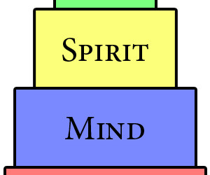 The 4 building blocks of a fulfilling career